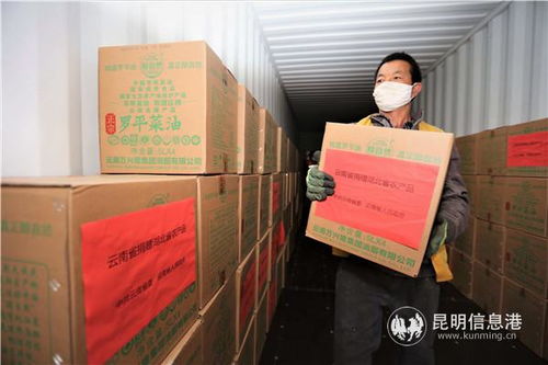 云南開(kāi)行農(nóng)產(chǎn)品集裝箱專(zhuān)列對(duì)口馳援湖北咸寧